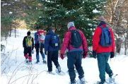 Ottawa TimeOut Hiking Club